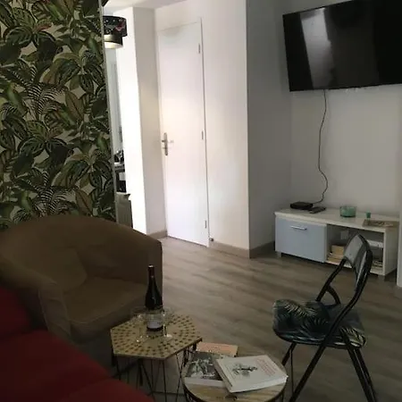 Apartment 4 Climatisees Parking Gratuit Campus Parc Paul Mistral Grenoble